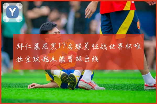 拜仁慕尼黑17名球员征战世界杯唯独金玟哉未能晋级出线