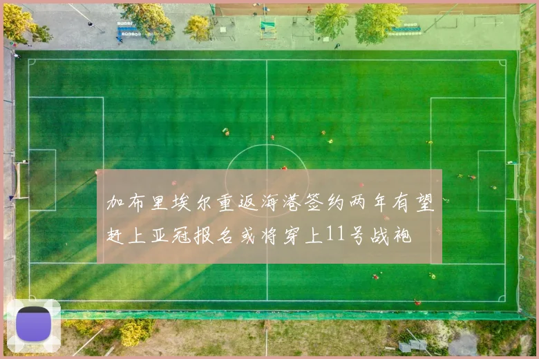 加布里埃尔重返海港签约两年有望赶上亚冠报名或将穿上11号战袍